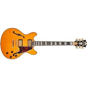 {Z[ Xgbvv[gLy[ D'Angelico fBAWFR GLM^[ Z~AR Excel Mini DC, Vintage Natural zE{fB nobJ[