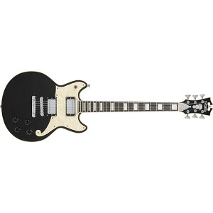 {Z[ D'Angelico fBAWFR GLM^[ Premier Brighton Black Flake uCg ubNt[N  nobJ[ ZbglbN