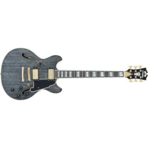{Z[ D'Angelico fBAWFR GLM^[ Z~AR Deluxe Mini DC Black Dog ubN  zE{fB nobJ[