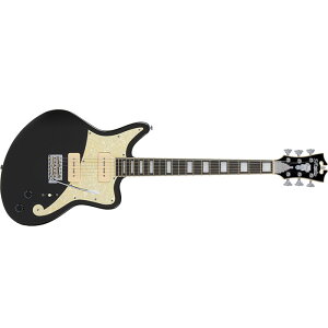 {Z[ D'Angelico fBAWFR GLM^[ Premier Bedford Black Flake xbhtH[h ubN  nobJ[ ZbglbN