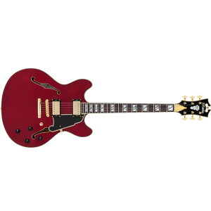 y{Z[zXgbvv[gLy[ D'Angelico fBAWFR GLM^[ Z~AR Excel DC Trans Cherry zE{fB nobJ[