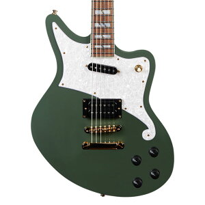 D'Angelico fBAWFR GLM^[ Deluxe Bedford Hunter Green xbhtH[h n^[O[  ZbglbN