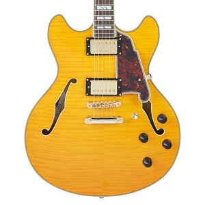 y{Z[z D'Angelico fBAWFR GLM^[ Z~AR Excel DC Vintage Natural i` zE{fB nobJ[