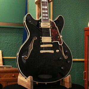 yAEgbgZ[z D'Angelico fBAWFR GLM^[ Z~AR Excel DC Solid Black ubN zE{fB nobJ[