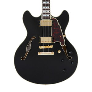 y{Z[z D'Angelico fBAWFR GLM^[ Z~AR Excel DC Solid Black ubN zE{fB nobJ[