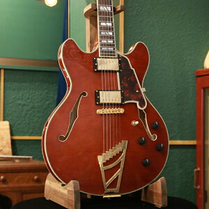 yAEgbgZ[z D'Angelico fBAWFR GLM^[ Excel DC Stairstep, Viola Z~zE{fB  _JPU