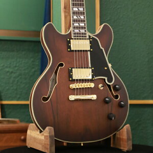 yAEgbgZ[z D'Angelico fBAWFR GLM^[ Z~AR Excel Mini DC, Satin Brown Burst zE{fB nobJ[