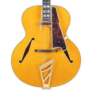 y{Z[z D'Angelico fBAWFR GLM^[ tAR Excel Style B Amber Ao[ zE{fB