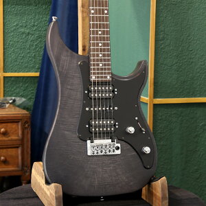 Vigier Guitars BWF GLM^[ Excalibur Special VE6-CVSP1, Velours Noir / Rosewood Fingerboard 24F tX