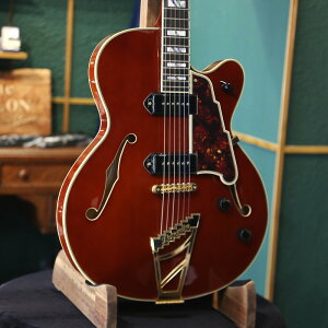 AEgbgZ[ D'Angelico fBAWFR GLM^[ Excel 59 Viola BI zE{fB P-90 