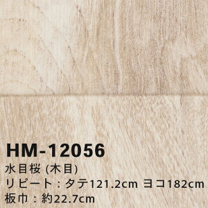 yzHM12056 HM12057 ڍ (ؖ) TQc Zp NbVtA R { 2024-2027 [m̔]