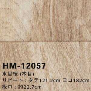 yzHM12056 HM12057 ڍ (ؖ) TQc Zp NbVtA R { 2024-2027 [m̔]