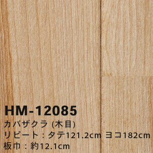 yzHM12084 HM12085 JoUN (ؖ) TQc Zp NbVtA R { 2024-2027 [m̔]