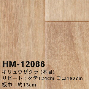 yzHM12086 HM12087 LEUN (ؖ) TQc Zp NbVtA R { 2024-2027 [m̔]