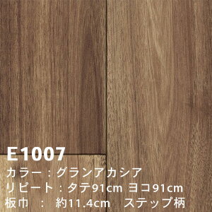 yzE1006 E1007 E1008 [OAJVA] ؖ VR[ ZpNbVtA |[ 2024-27 m̔