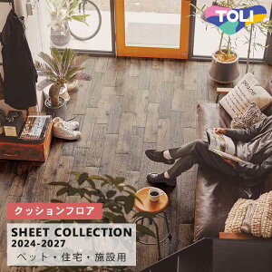 yzCF3728 GCWhEbh Íޕ [ybgEyΉELEՌz]  NbVtA 2024-27 [ZE{ݗp] m̔