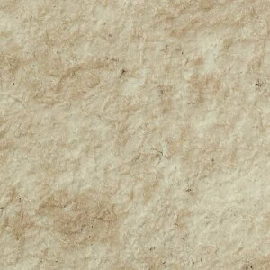 �y���������zPX4820 PX4821 PX4822 PX4823 �X�g�[���t���A 135/162/182cm�� �T���Q�c �h�����r�j�����V�[�g �m���X�L�b�h 2025-27 [m�̔�] ���|�����񂽂�^�C�v�y�L���T���v������z