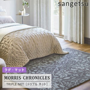 yzEBAEXfUC̃O [gvlbg] MCG345S TQc [X NjNY] E[100%