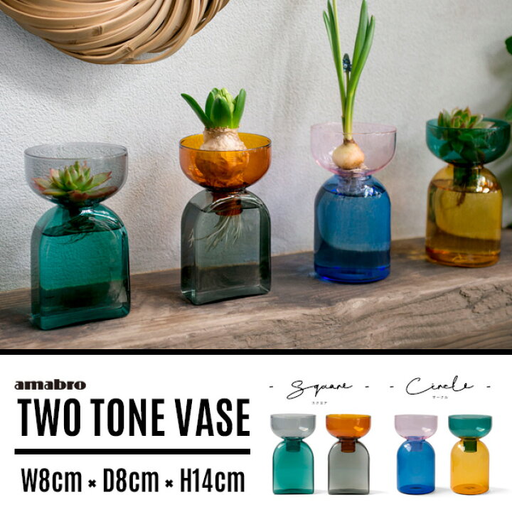 楽天市場 Two Tone Vase ツー トーン ベースamabro アマブロ水耕栽培用 水栽培 ポット 球根 花瓶 多肉植物 フラワーベース 一輪挿し ガラス ポット ヒヤシンス ムスカリ サボテン ハイドロカルチャー 花器 おしゃれ Interiorzakka ｚｅｎ ｙｏｕ