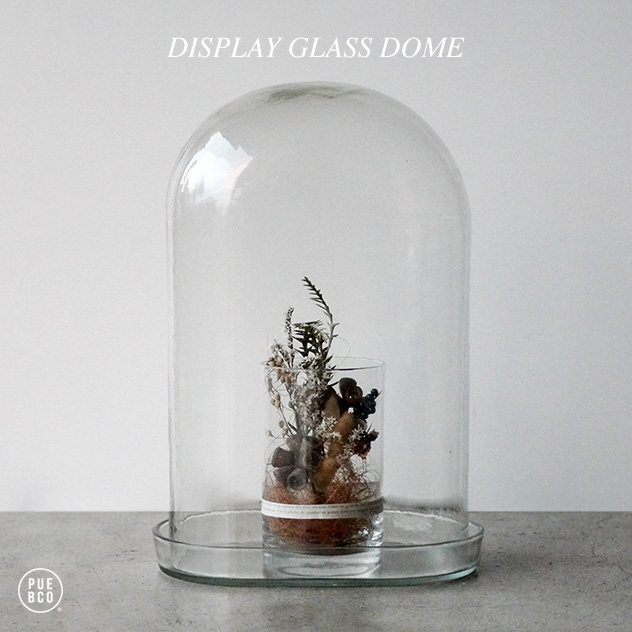 DISPLAY GLASS 信託 DOME ディスプレイ ガラス ドームPUEBCO プエブコ ドーム W25cm D15cm ガラスケース 正規販売店 × ショーケース H36cm