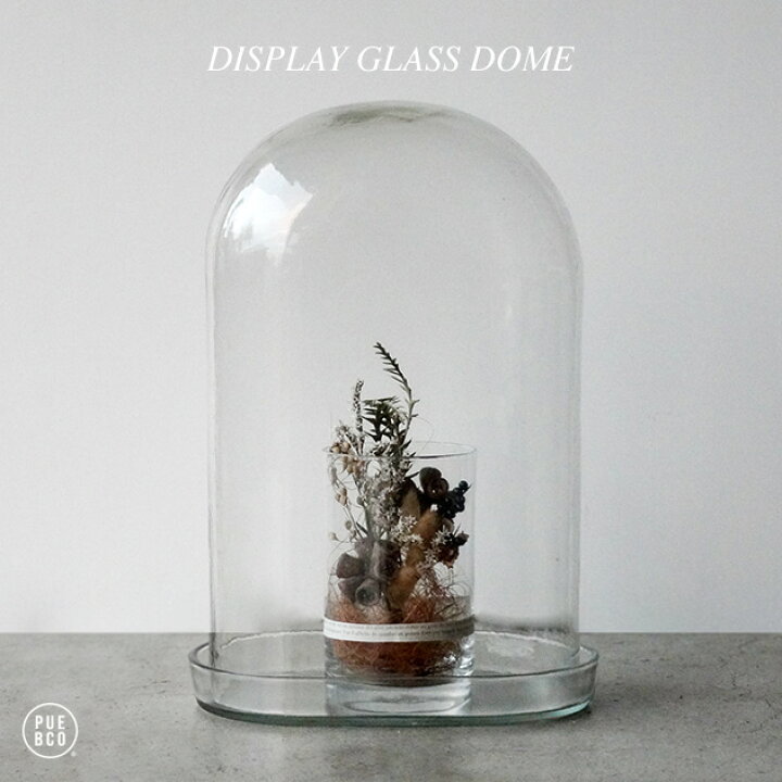 楽天市場】DISPLAY GLASS DOME / ディスプレイ ガラス ドームPUEBCO 