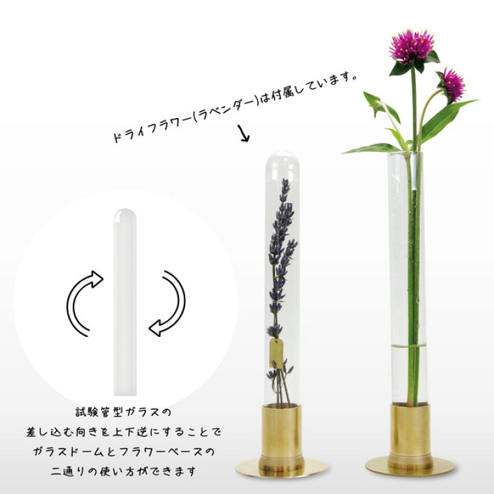 楽天市場 2way Flower Vase Glass Dome 2ウェイ フラワーベース ガラスドーム Picus ピクス 一輪差し ドライフラワー ラベンダー 真鍮 Brass 日本製 花瓶 Interiorzakka zen you 楽天市場 2way Flower Vase Glass Dome 2ウェイ フラワーベース ガラスドーム Picus ピクス 一輪差し ドライフラワー ラベンダー 真鍮 Brass 日本製 花瓶 Interiorzakka zen you