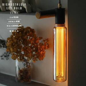 BIG TUBE NOSTALGIA LED Bulb / rbO `[u mX^WA LEDou WEST VILLAGE TOKYO (EGXgrbWg[L[) 30cm LEDd E26 25W d4W 2200K 200lm([) GW\ d Ɩ