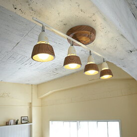 Harmony-ceiling lamp /ハーモニー シーリング ランプ ART WORK STUDIO（アートワークスタジオ） 天井　照明　ライト　ランプ　スポット　調光 AW-0321
