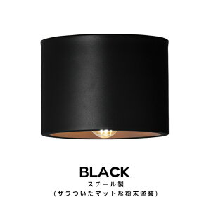 y2Nۏ؁zEve Ceiling Light CuV[OCg ART WORK STUDIO A[g[NX^WI _ECg X|bg Cg Ɩ GgX gC ze |V[O fUC V䒼t