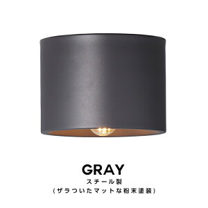 y2Nۏ؁zEve Ceiling Light CuV[OCg ART WORK STUDIO A[g[NX^WI _ECg X|bg Cg Ɩ GgX gC ze |V[O fUC V䒼t