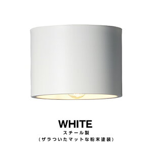 y2Nۏ؁zEve Ceiling Light CuV[OCg ART WORK STUDIO A[g[NX^WI _ECg X|bg Cg Ɩ GgX gC ze |V[O fUC V䒼t