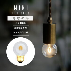 MINI LED GLOBE E26 / ~j LEDd O[u WEST VILLAGE TOKYO (EGXgrbWg[L[) a5cm×H7.2cm LEDd E26 10W d1W 70LM(ʓd10WjGW\ d Ɩ NOSTALGIA LED Bulb mX^
