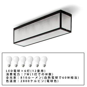 GENETTA Ceiling Light / WFlb^ V[O Cg 6 Ɩ CeA dC t X e  Hsv tic gram eight OGCg