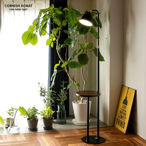 CORNISH KORAT side table light 1�� �R�[�j�b�V�� �R���b�g �T�C�h�e�[�u�����C�g�t���A ���C�g �Ɩ� �d�C �e�[�u�� ������� �Ɩ� �H���s�v �ԐڏƖ� tic gram eight �O�����G�C�g TC-1015-KORAT