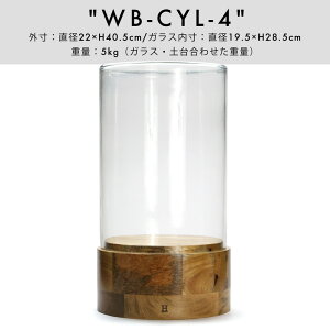 Glass Dome / KX h[HERE by DETAIL qA[ fBXvC h[ V[P[X KXP[X Ch 4TCY