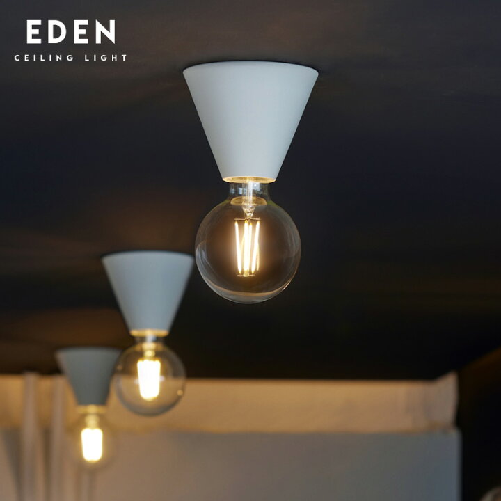楽天市場】Eden Ceiling Light エデン シーリング ライト ART WORK 
