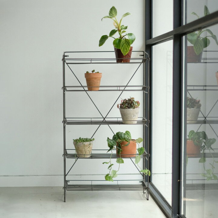 楽天市場】HABANA FOLDING SHELF（LL) ハバナ フォールディング 