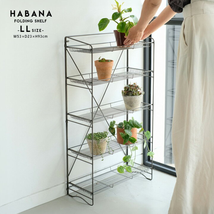 楽天市場】HABANA FOLDING SHELF（LL) ハバナ フォールディング 