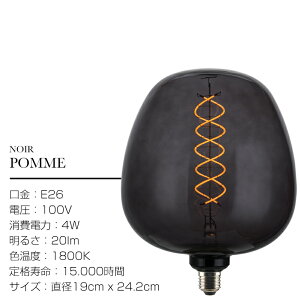 Noir Edison Bulb LED E26 / �m���[�� �G�W�\�� LED �o���u DMA Inc LED�d�� 20lm(���[����) �����d�� �Ɩ� �u���b�N BLACK ����d��4W 1800K �G�W�\�� �d�� �Ɩ� WEST VILLAGE TOKYO �E�G�X�g�r���b�W�g�[�L���[