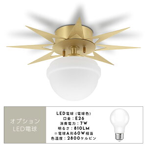 PHYNX Ceiling Light / EBNX V[O Cg z Ɩ CeA dC t X  ~bhZ`[ fUC Hsv tic gram eight OGCg