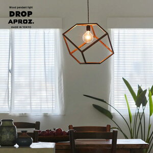 APROZ / AvX DROP / hbv Ebhy_gCg 1 100W { C wood Ebh  Cg Ɩ y_g Cg Ɩ VƖ fUC k  IV Hsv AZP-626-BR