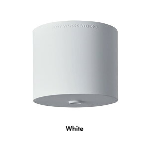 yV Ɩp V[OJo[zV[OJo[|bh Ceiling cover PodARTWORKSTUDIO A[g [N X^WI tWJo[ |vO tJo[ |V[O Jo[ ART WORK STUDIO 