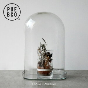PUEBCO (vGuR) DISPLAY GLASS DOME / fBXvC KX h[ H36cm × W25cm × D15cm fBXvC h[ V[P[X KXP[X