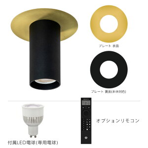 LED POINT Ceiling Light / LED �|�C���g �V�[�����O ���C�g �Ɩ� �C���e���A �d�C ���t�� �X�� ������� �f�U�C�� �H���s�v tic gram eight �O�����G�C�g