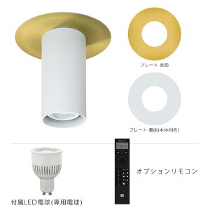 LED POINT Ceiling Light / LED �|�C���g �V�[�����O ���C�g �Ɩ� �C���e���A �d�C ���t�� �X�� ������� �f�U�C�� �H���s�v tic gram eight �O�����G�C�g