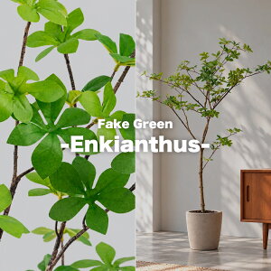 Fake Green -Pachira- �t�F�C�N�O���[�� �h�E�_���c�c�W ����130cm form �l�H�ϗt�A�� ��^ �C���e���A�O���[�� ���t�� �v�����^�[�J�o�[�ʔ� F9-246
