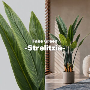 Fake Green -Strelitzia- �t�F�C�N�O���[�� �X�g�����`�A�E���M�l ����120cm form �l�H�ϗt�A�� ��^ �C���e���A�O���[�� ���t�� �v�����^�[�J�o�[�ʔ� F9-248