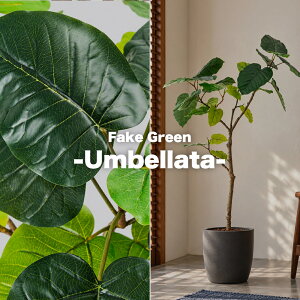Fake Green -Umbellatan- �t�F�C�N�O���[�� �E���x���[�^ ����120cm form �l�H�ϗt�A�� ��^ �C���e���A�O���[�� ���t�� �v�����^�[�J�o�[�ʔ� F9-242