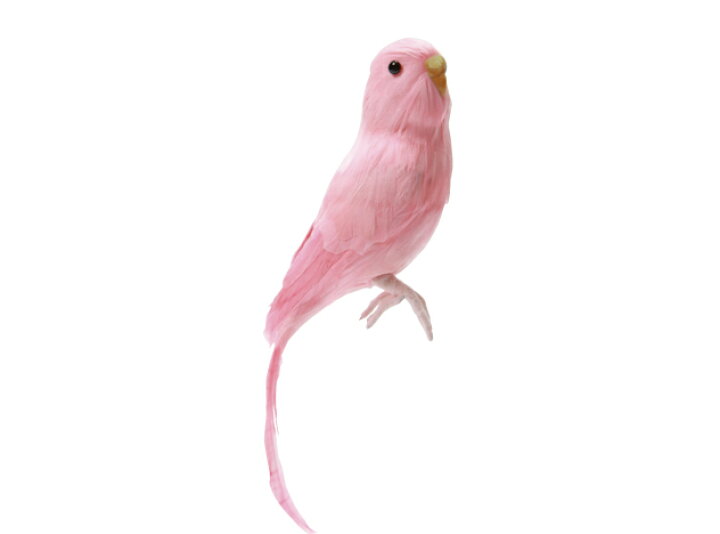 楽天市場】Budgie(Pink) セキセイインコ ピンク PUEBCO Artificial Birdsプエブコ アーティフィシャルバード128078【あす楽対応_東海】  : interiorzakka ＺＥＮ-ＹＯＵ