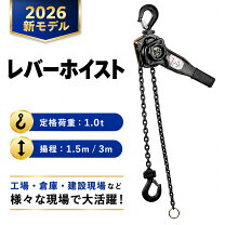 楽天市場】レバーブロック 3mの通販